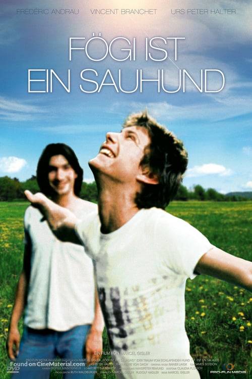 Poster: Fögi ist ein Sauhund