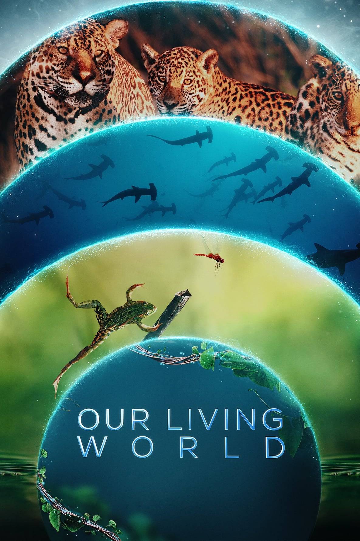 Poster: Unsere lebende Welt