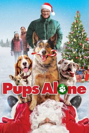 Poster: Hunde - Allein zu Haus