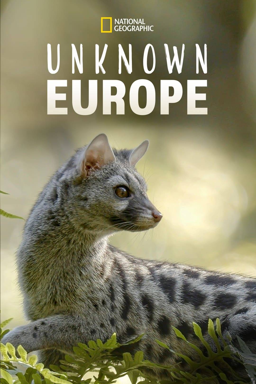 Poster: Hidden Wonders of Europe
