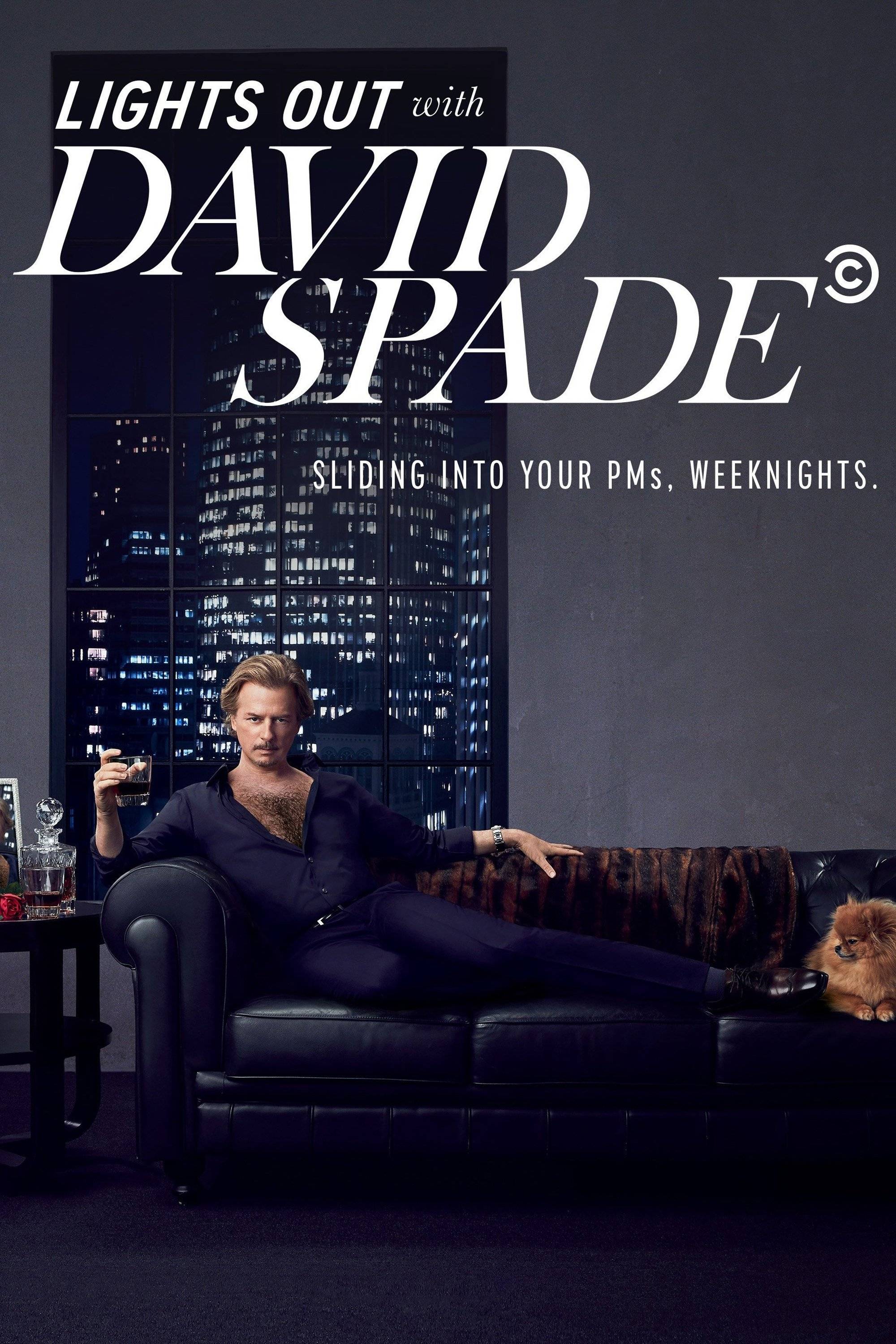 Poster: Lights Out with David Spade