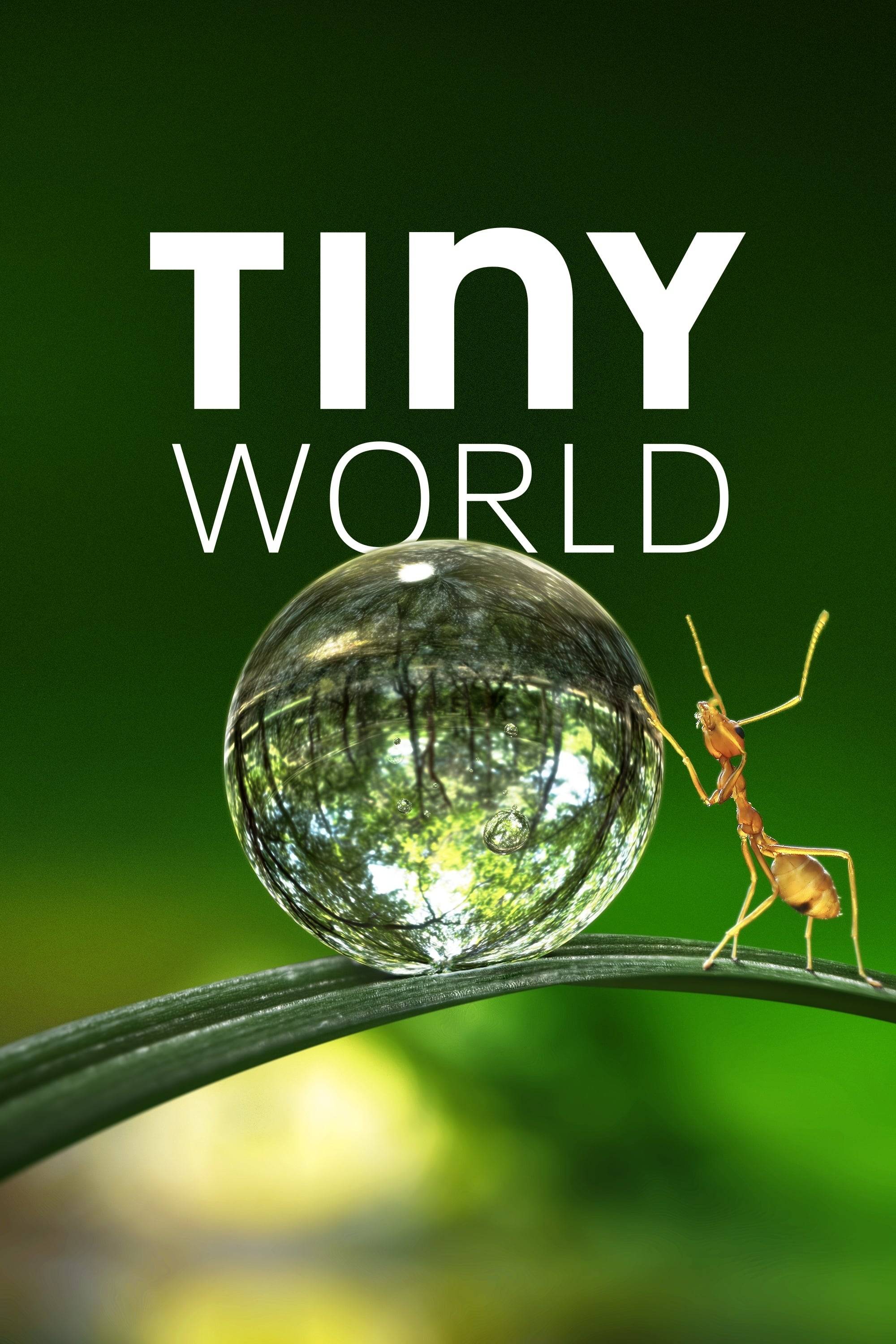 Poster: Tiny World