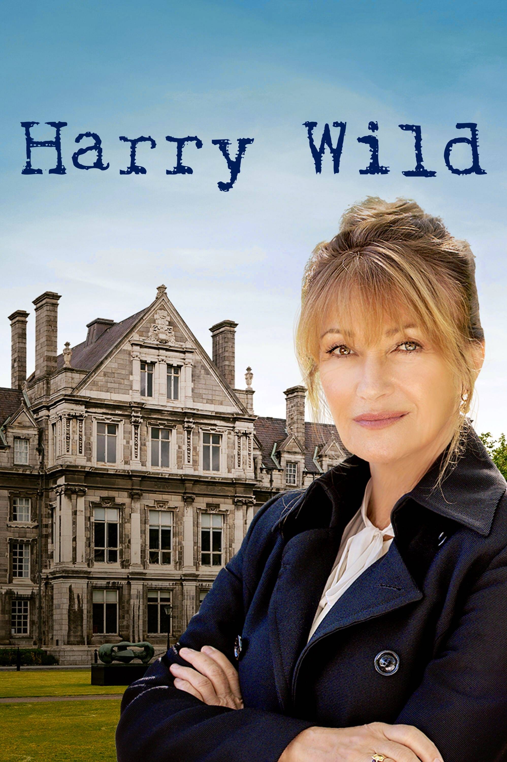 Poster: Harry Wild - Mörderjagd in Dublin