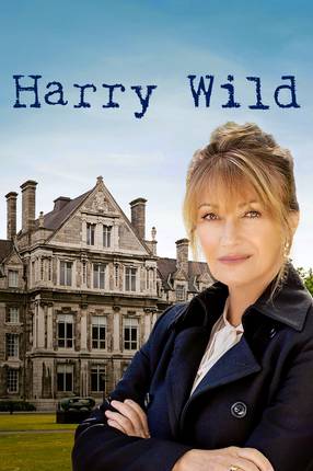 Poster: Harry Wild - Mörderjagd in Dublin