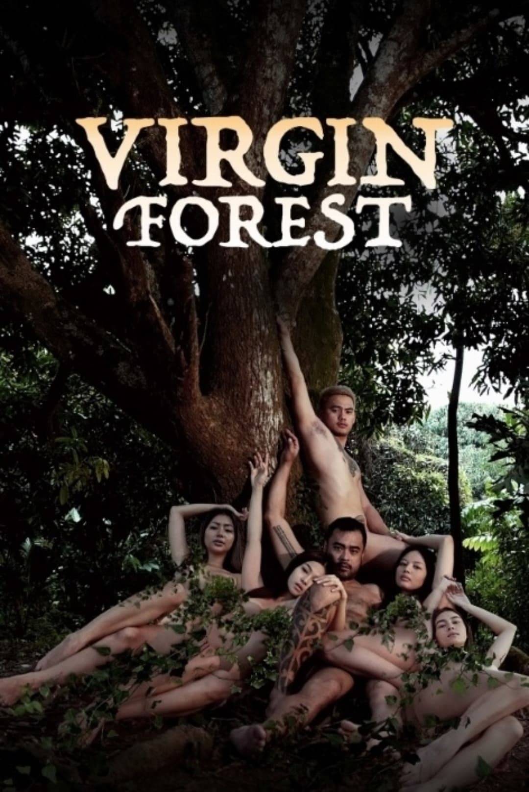 Poster: Virgin Forest