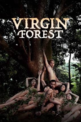 Poster: Virgin Forest