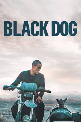 Poster: Black Dog - Weggefährten