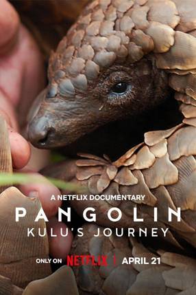 Poster: Pangolin: Kulus Weg