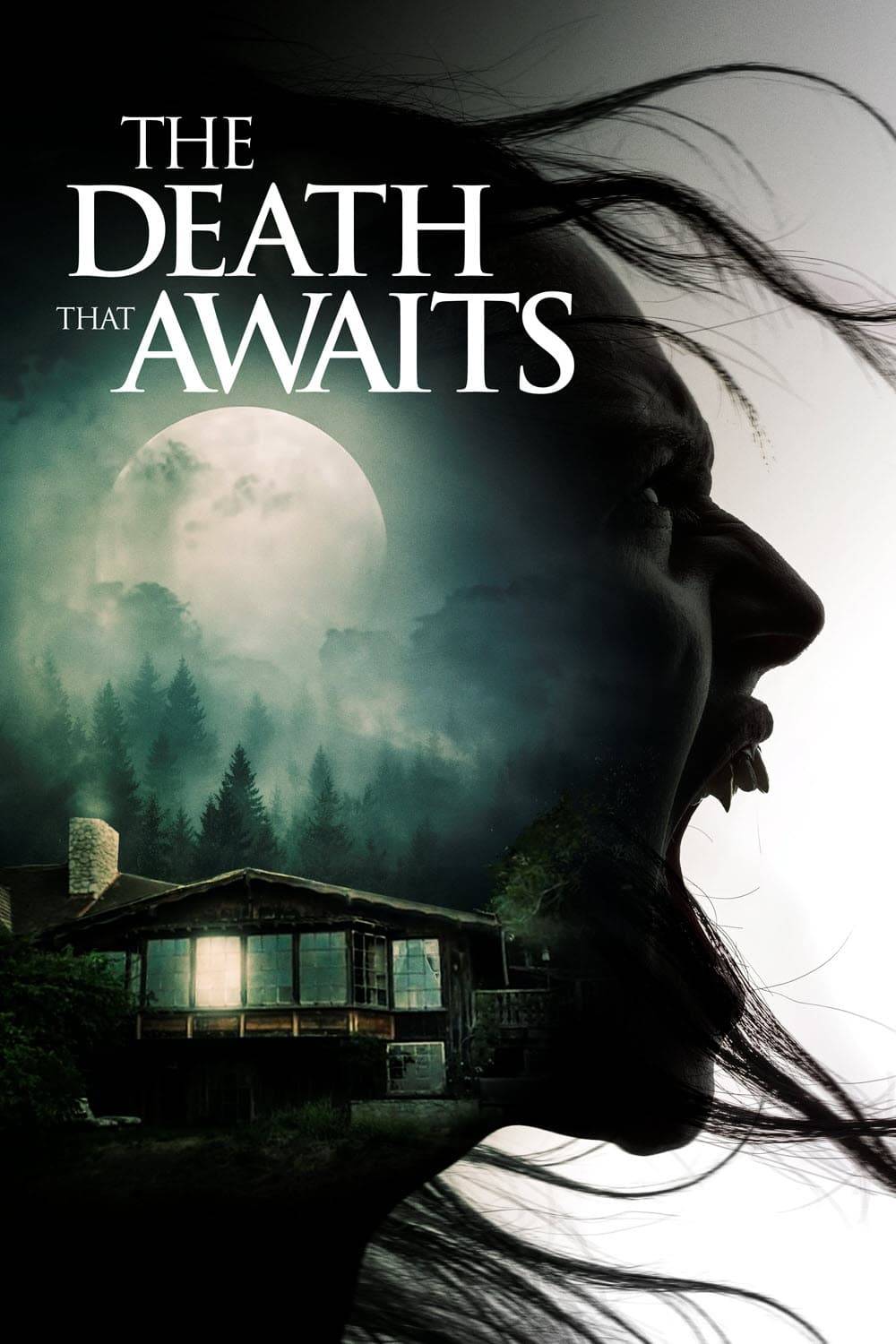 Poster: The Death That Awaits