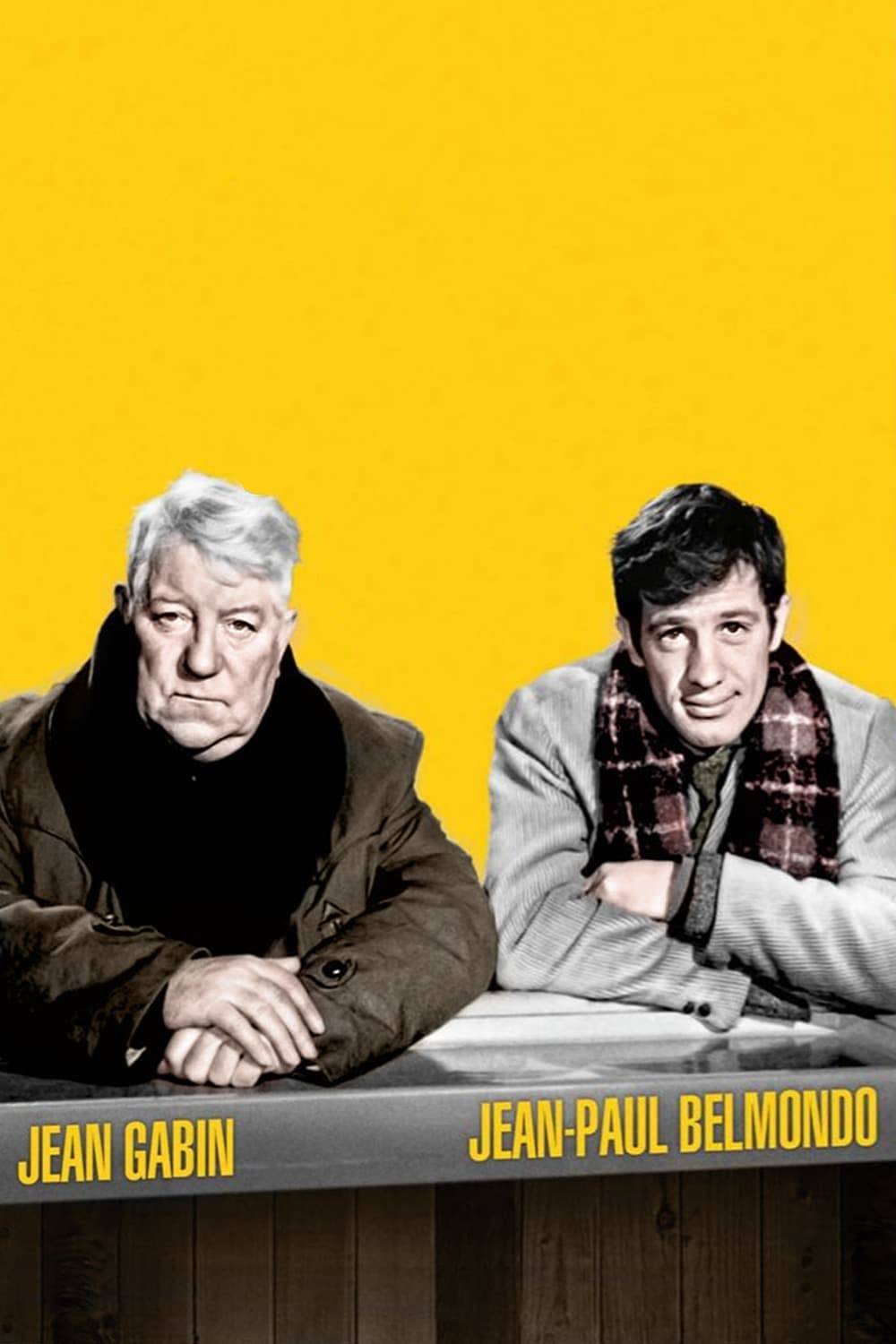 Poster: Ein Affe im Winter