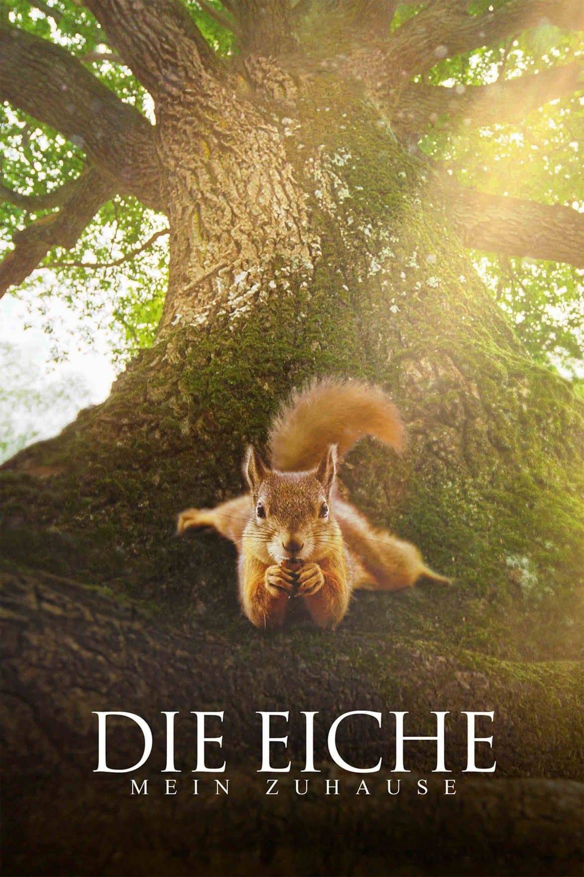 Poster: Die Eiche - Mein Zuhause