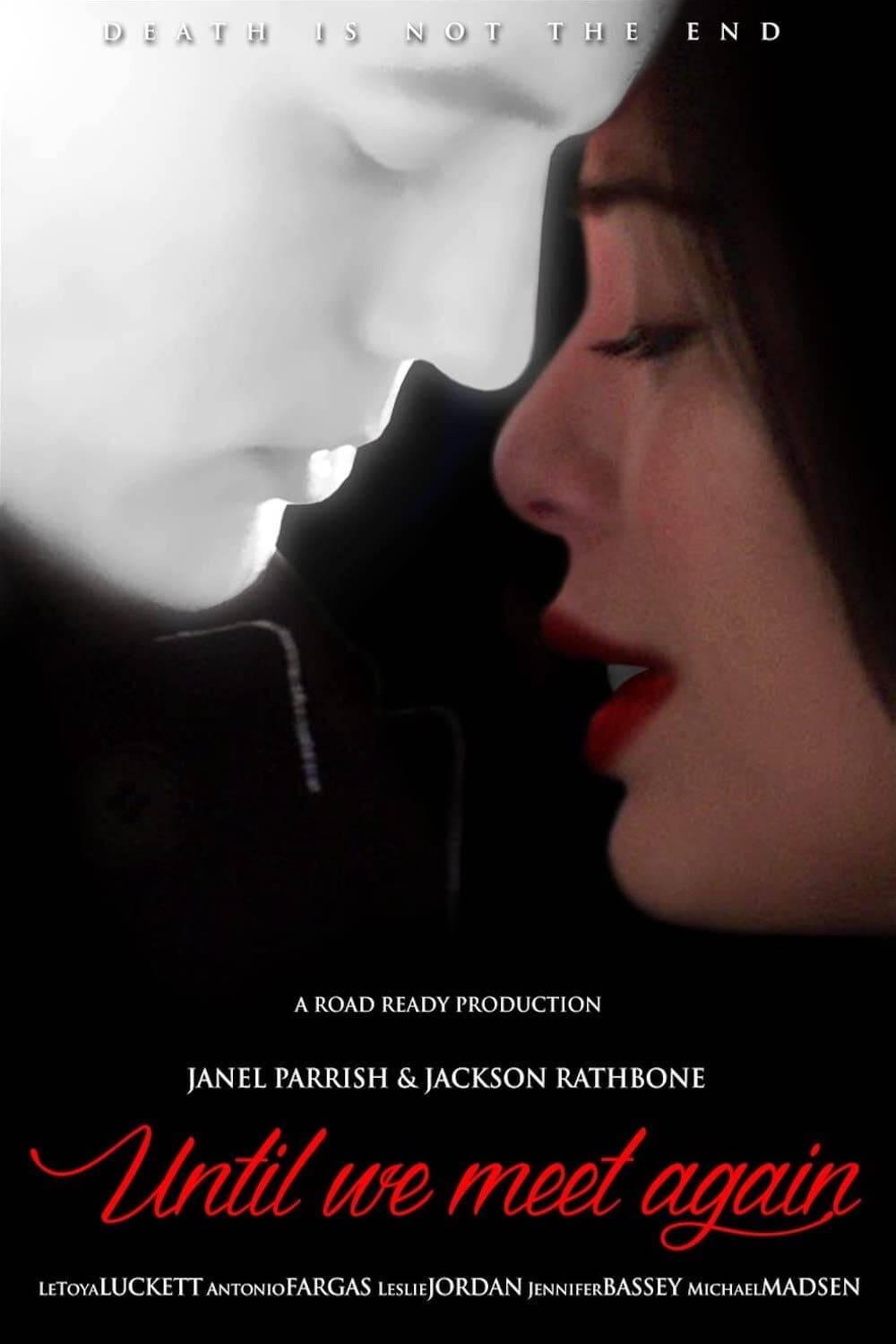 Poster: Until We Meet Again