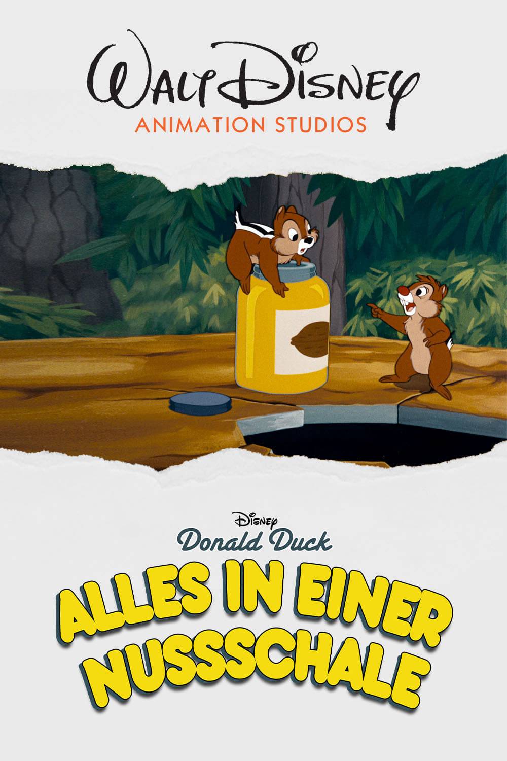 Poster: Donald und die Riesennuss