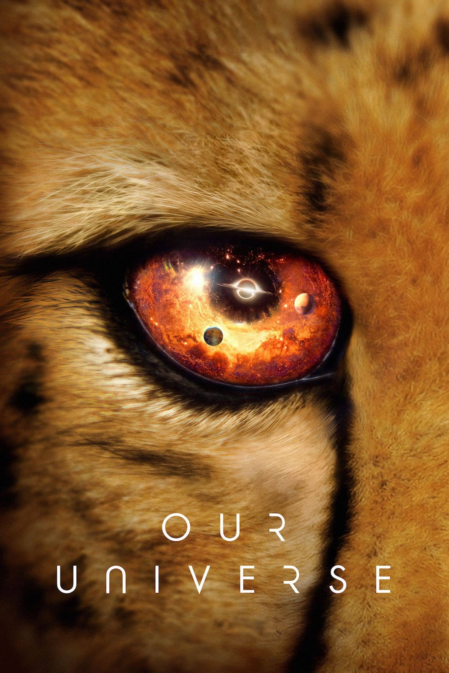 Poster: Das Universum