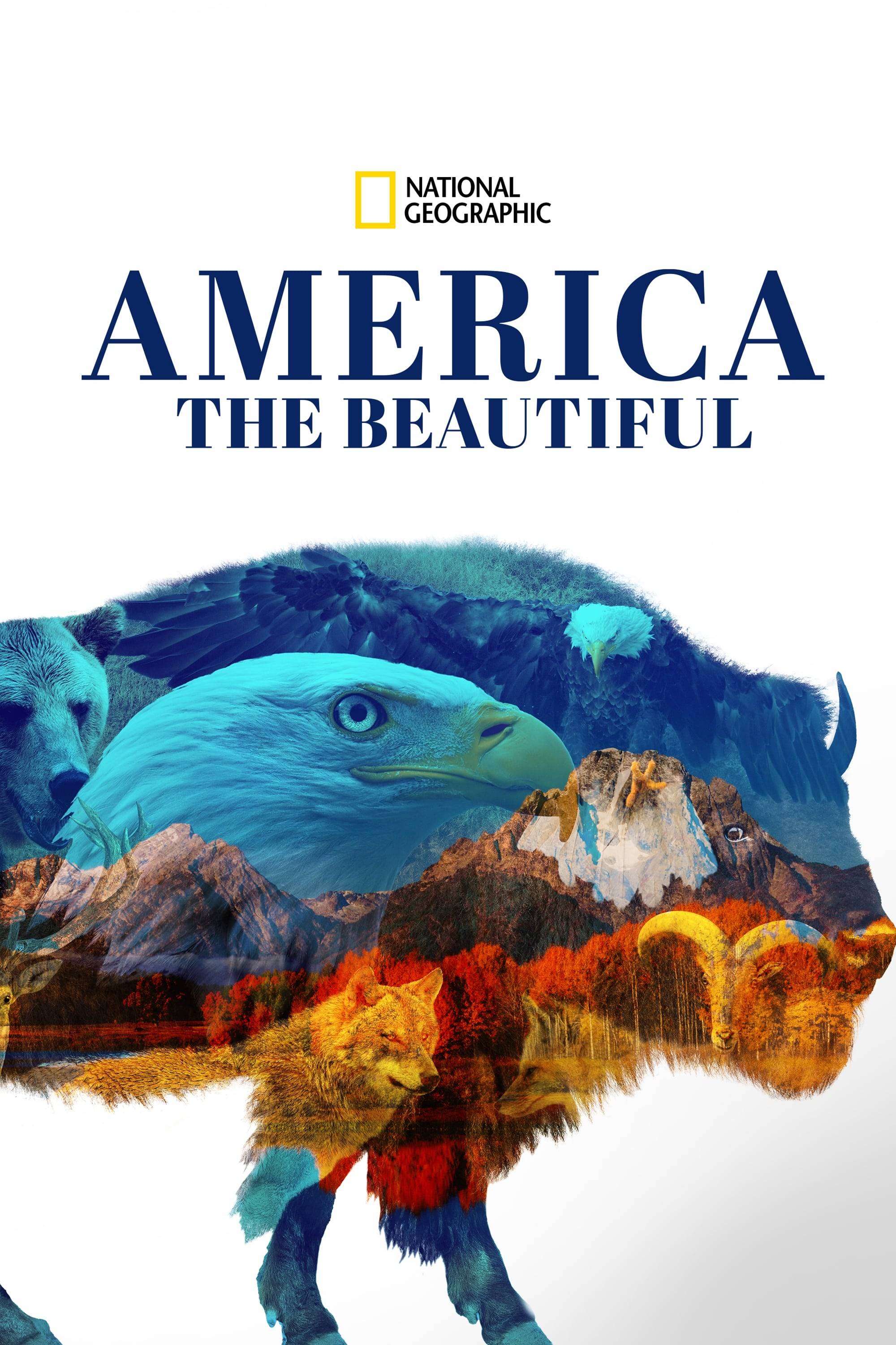 Poster: Das schöne Amerika