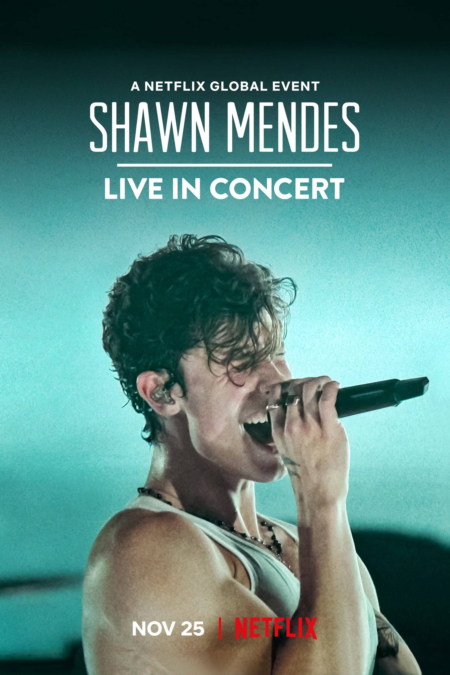 Poster: Shawn Mendes: Live in Concert