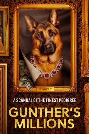 Poster: Gunthers Millionen