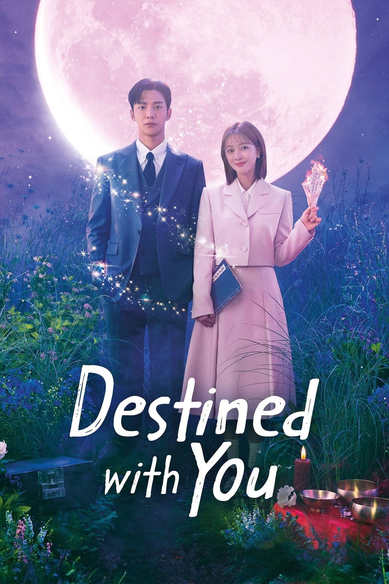 Poster: Destined with You