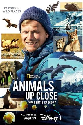 Poster: Tiere Hautnah mit Bertie Gregory