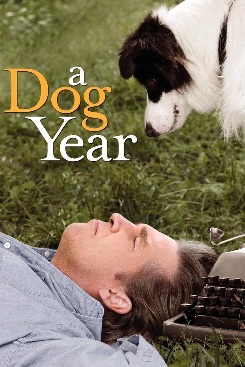 Poster: A Dog Year