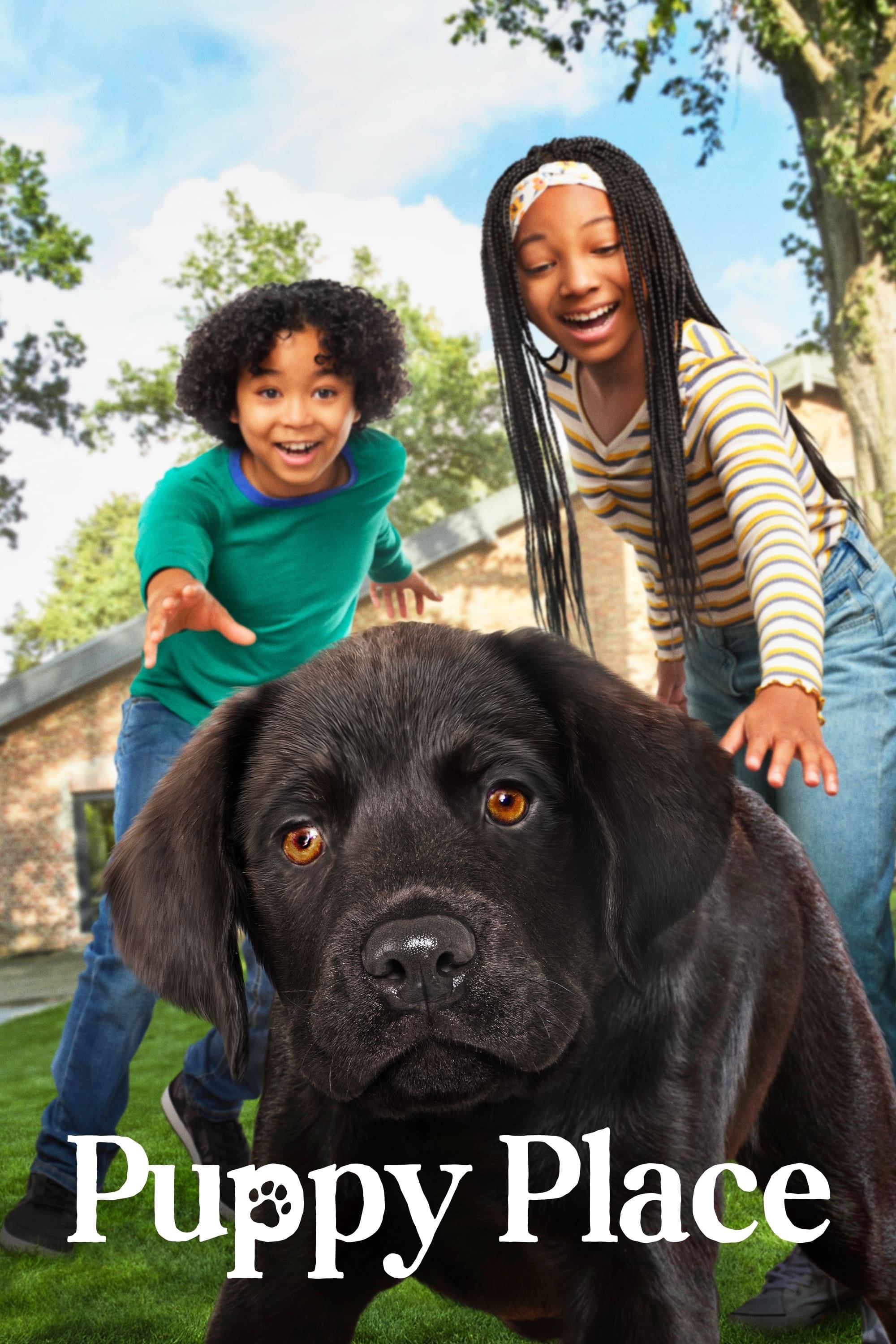 Poster: Puppy Place