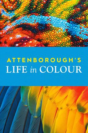 Poster: Das Leben in Farbe mit David Attenborough