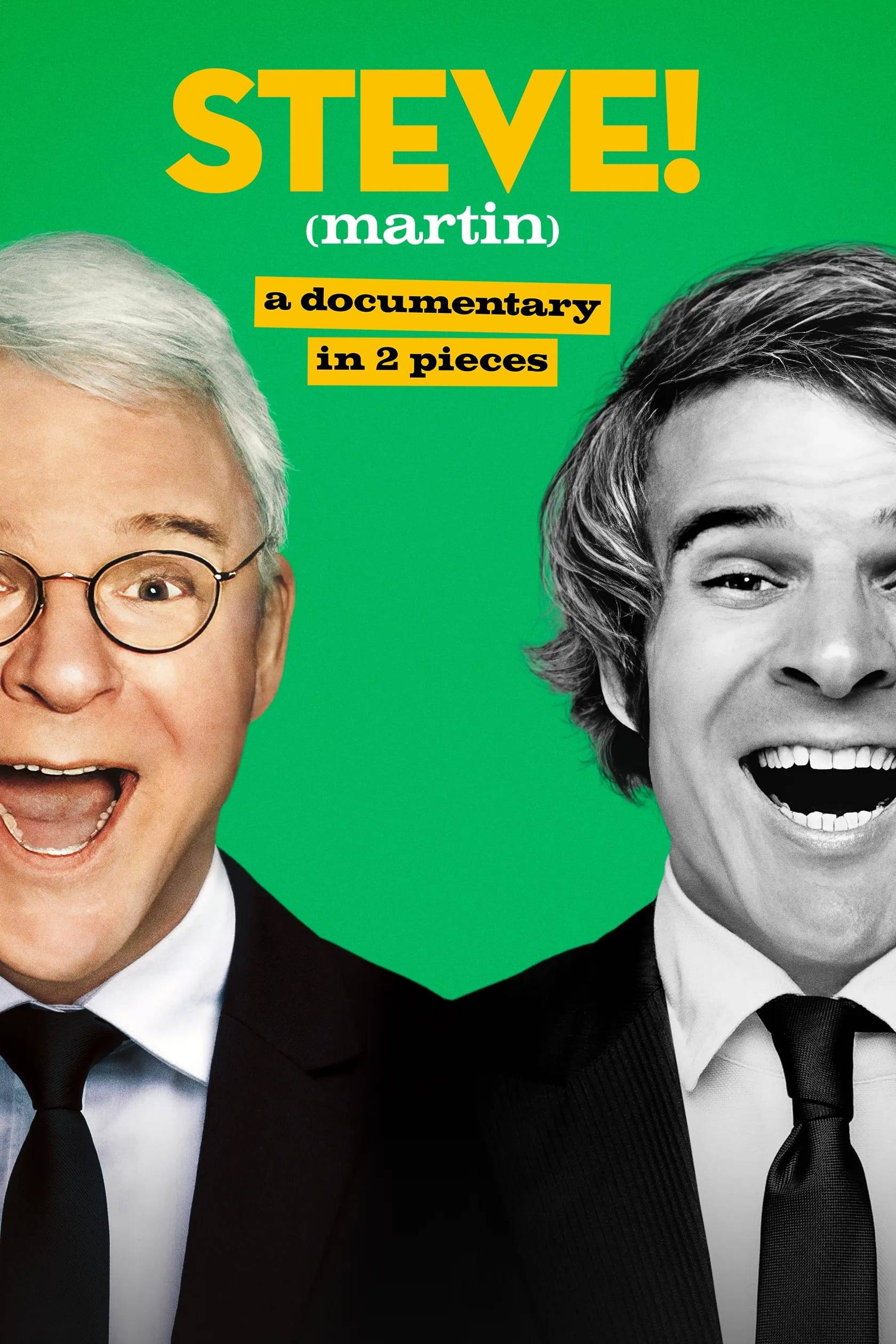 Poster: STEVE! (martin): Ein Porträt in zwei Teilen