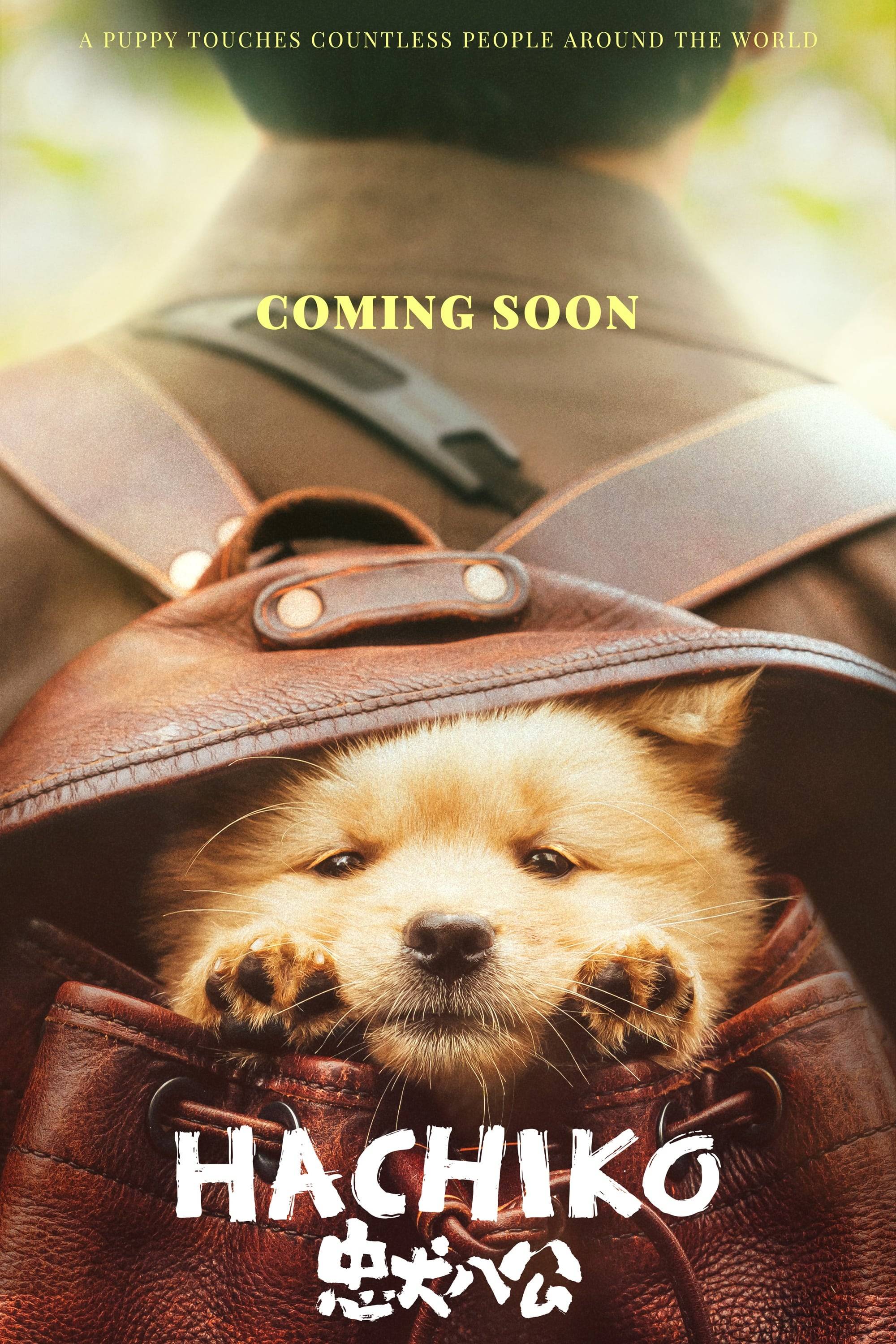 Poster: Hachiko