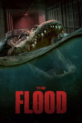Poster: The Flood