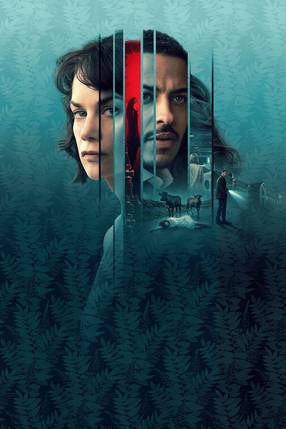 Poster: The Woman in the Wall