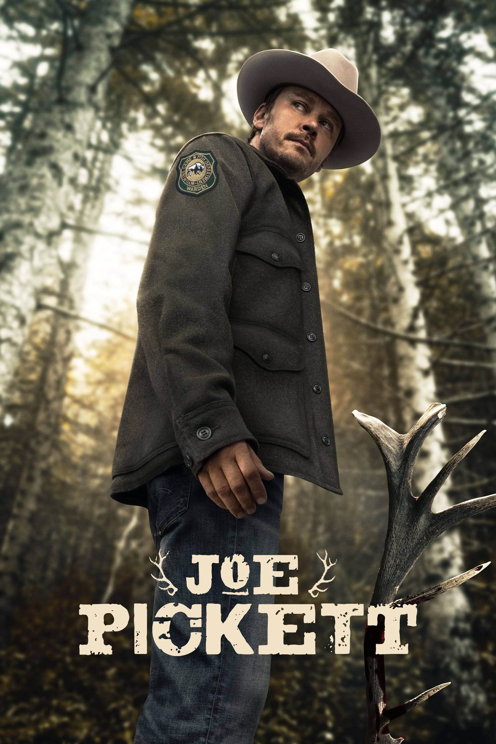 Poster: Joe Pickett