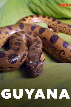 Poster: Guyana