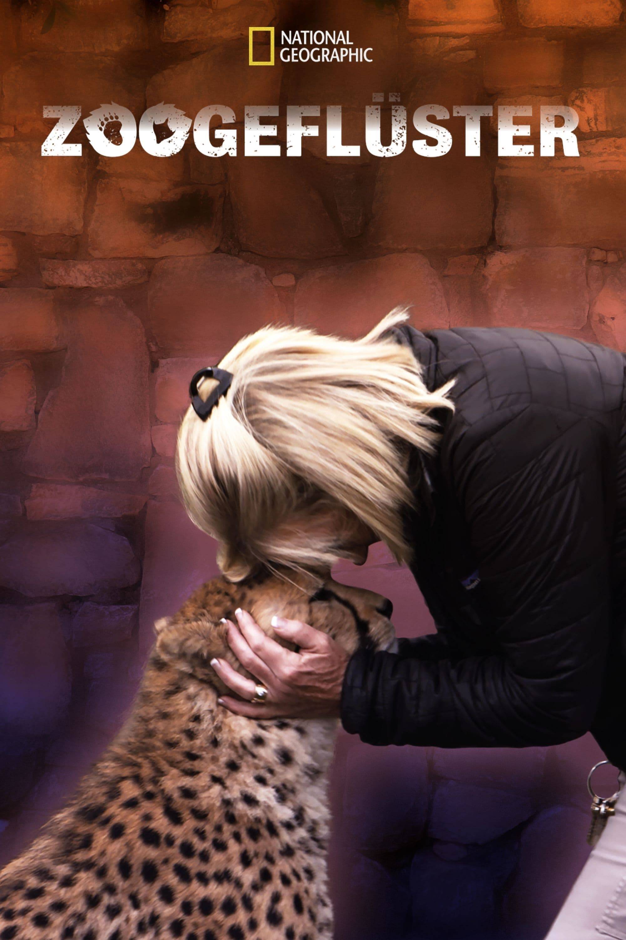 Poster: Secrets of the Zoo