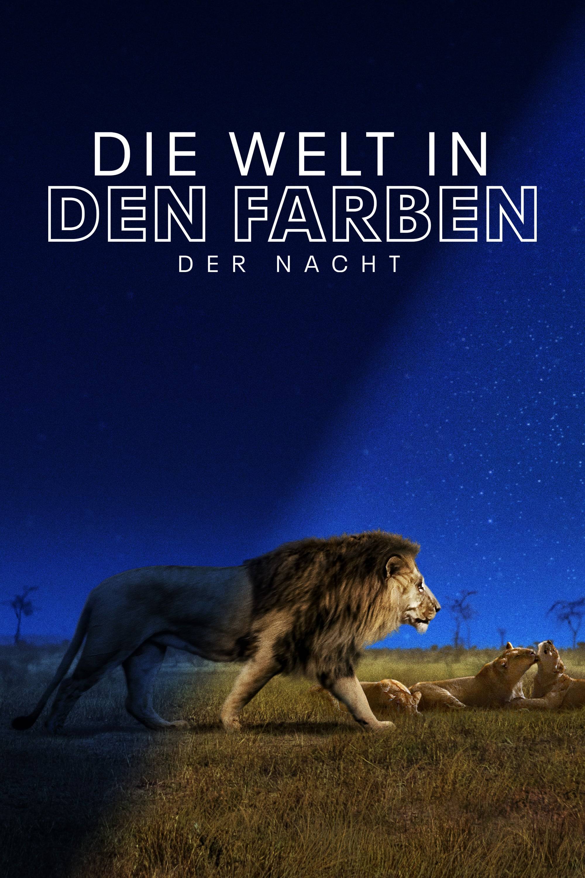 Poster: Die Welt in den Farben der Nacht