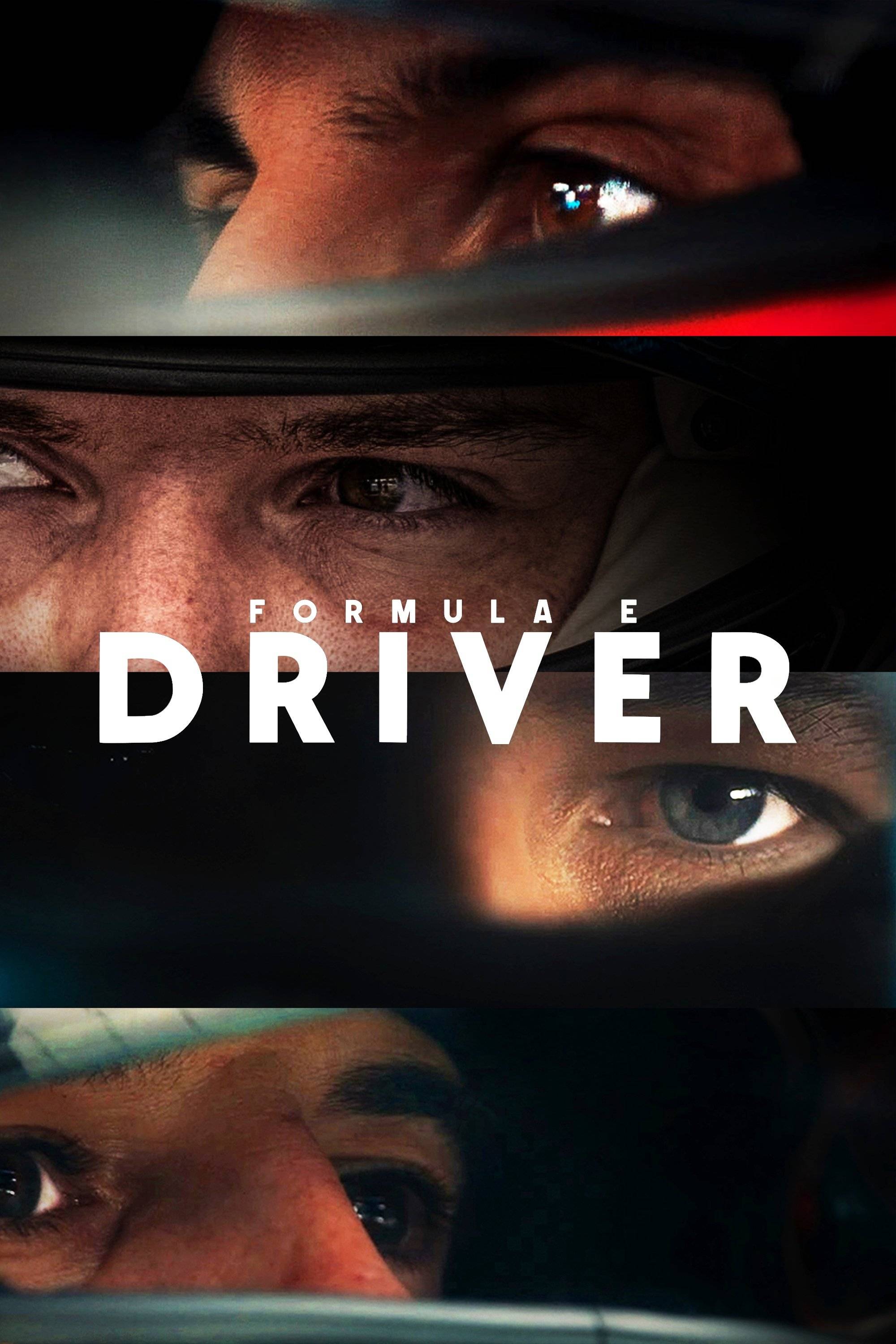 Poster: Formula E: DRIVER