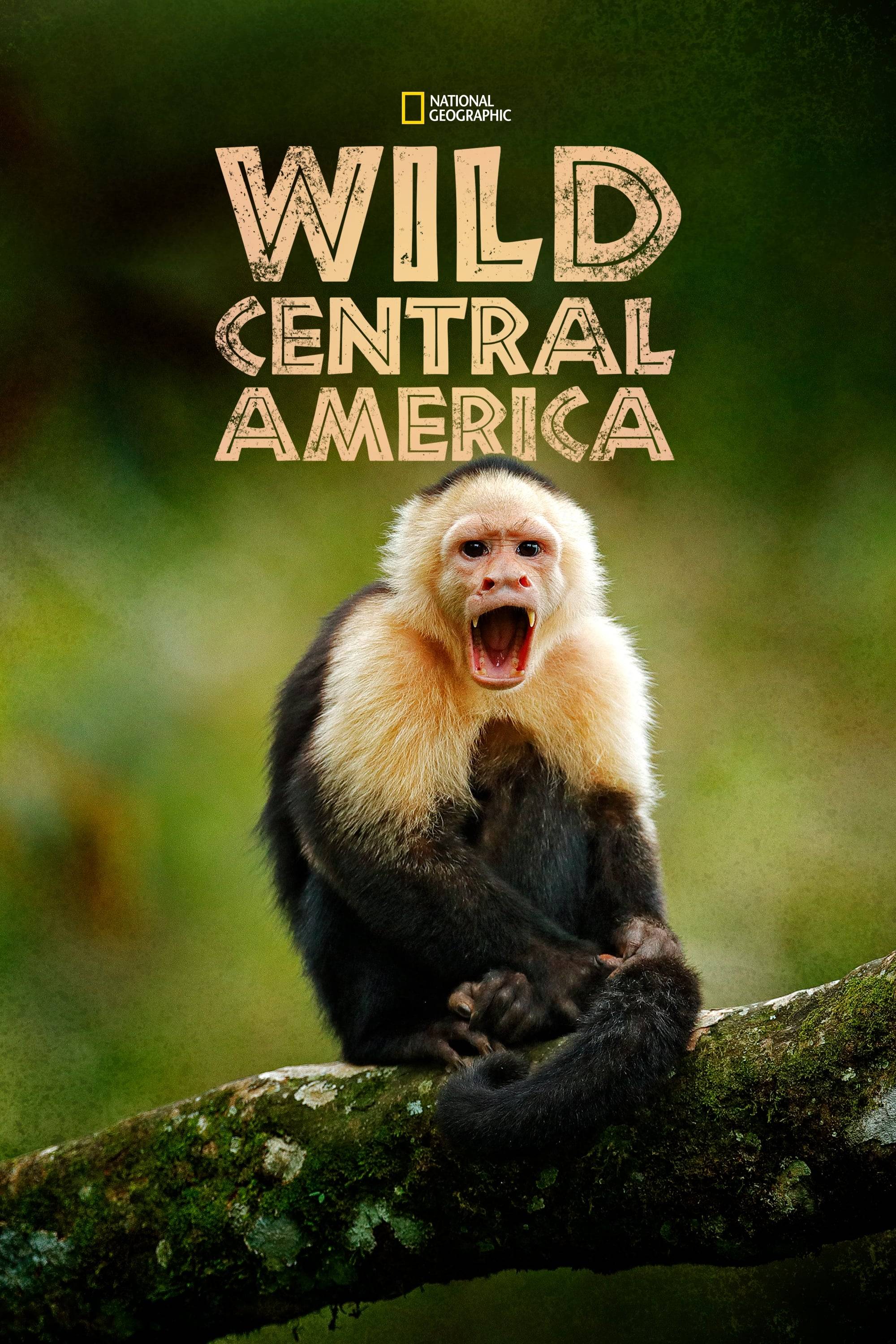 Poster: Wildes Mittelamerika