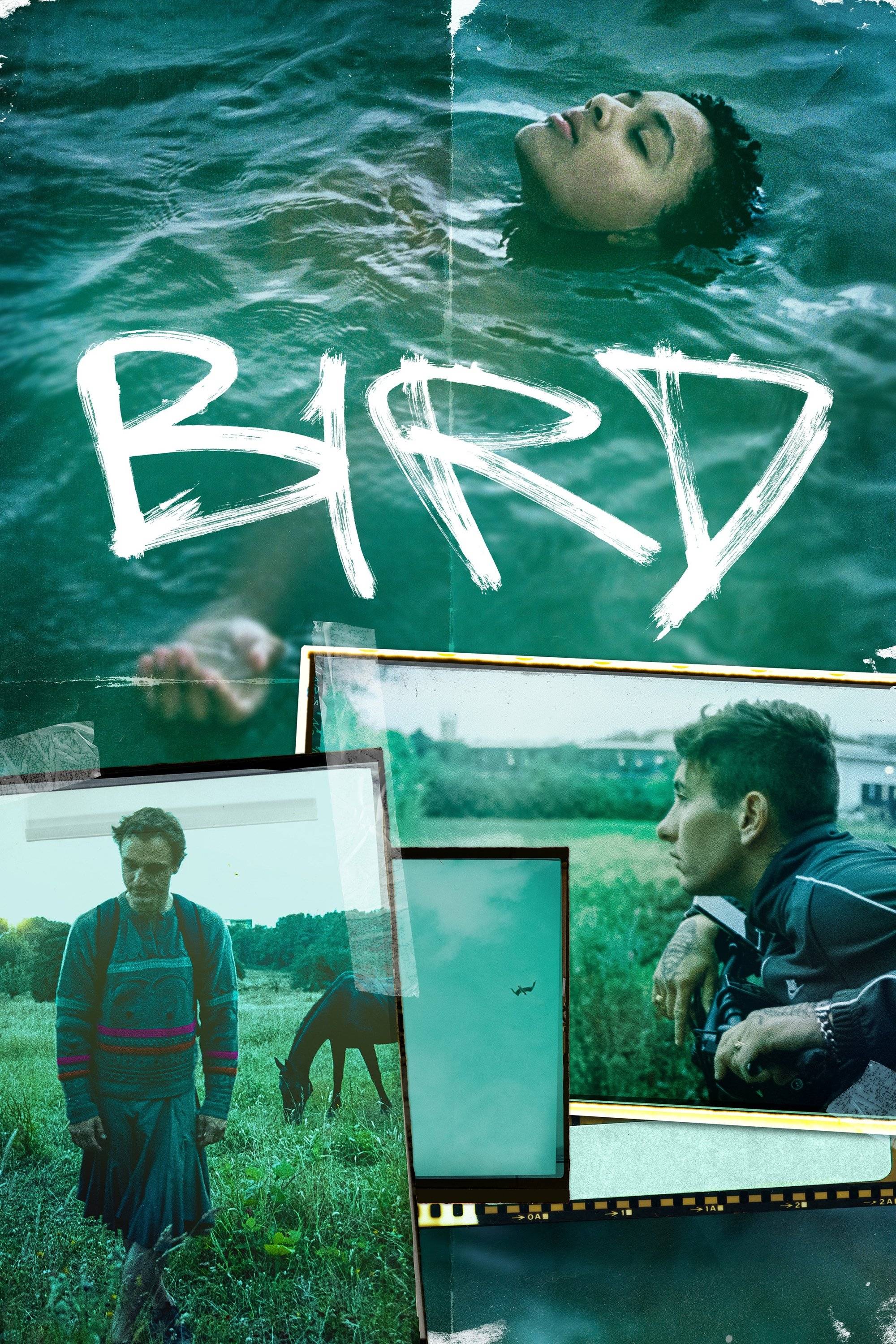 Poster: Bird