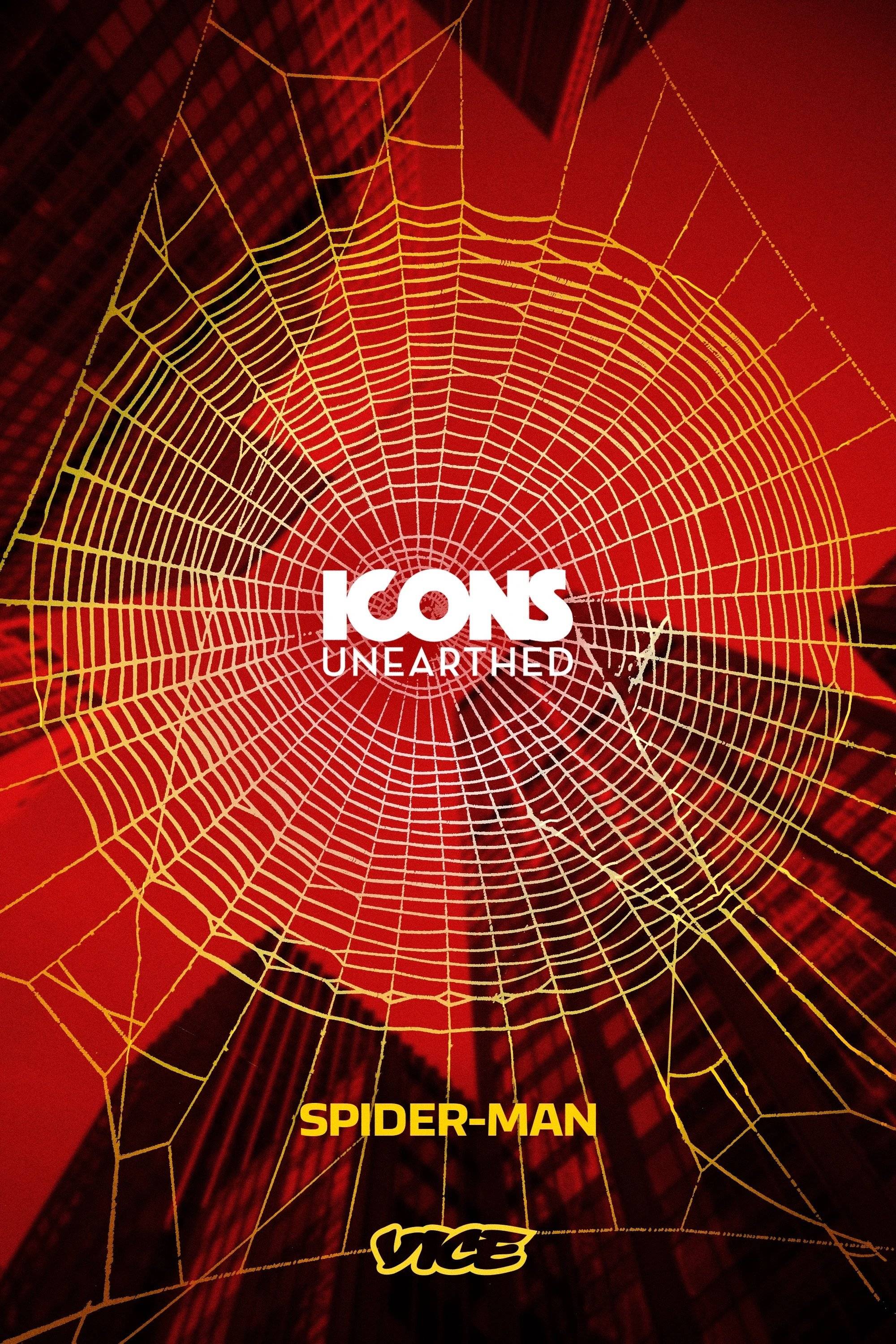 Poster: Inside Spider-Man