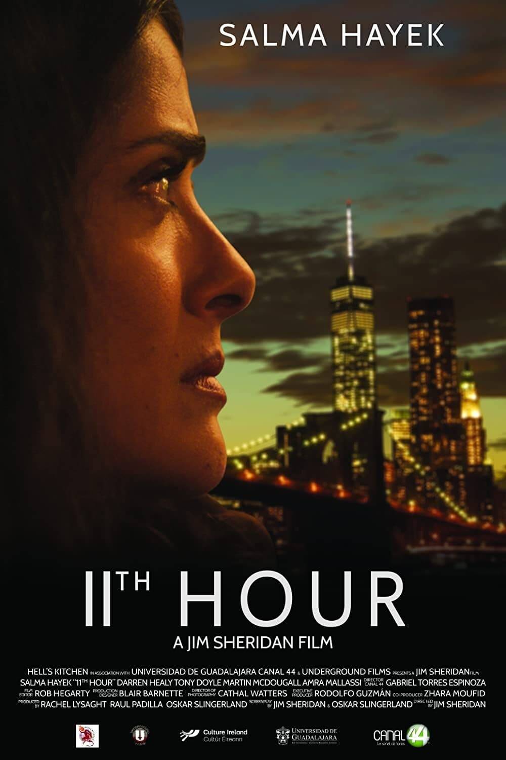 Poster: 11th Hour