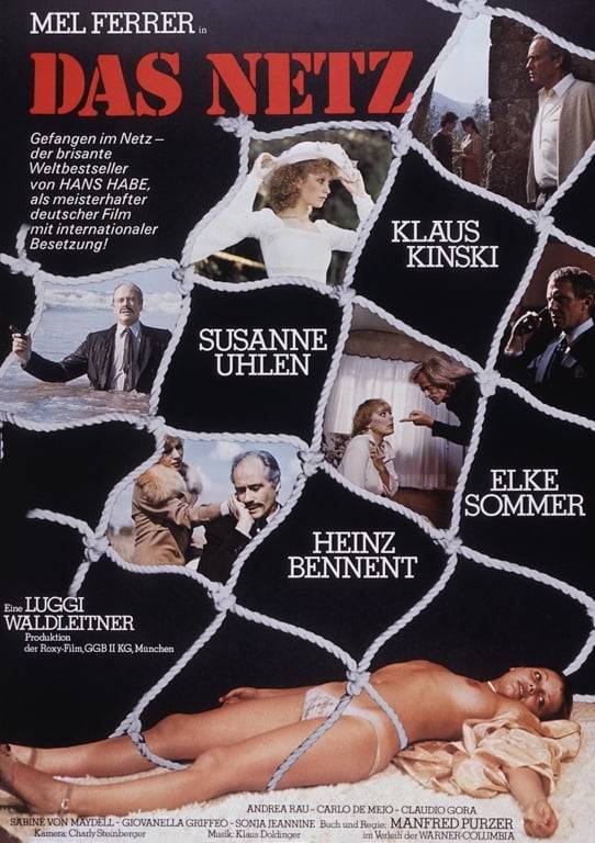 Poster: Das Netz