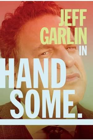 Poster: Handsome: Ein Netflix Krimi