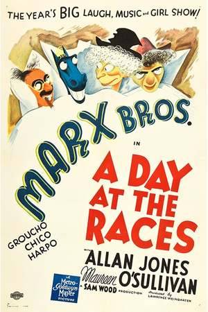 Poster: Marx Brothers - Das große Rennen