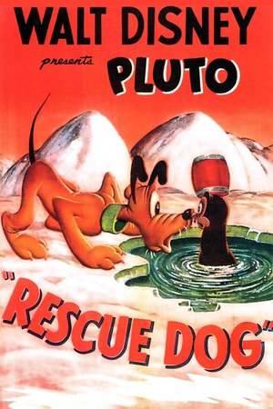 Poster: Pluto der Rettungshund