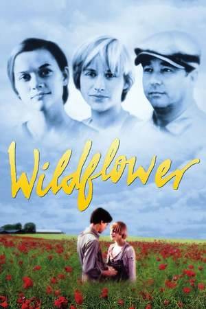 Poster: Wilde Alice