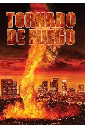 Poster: Fire Twister - Feuerhölle L.A.
