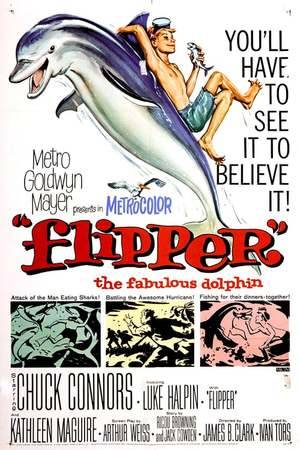 Poster: Flipper
