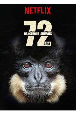 Poster: 72 Dangerous Animals: Asia