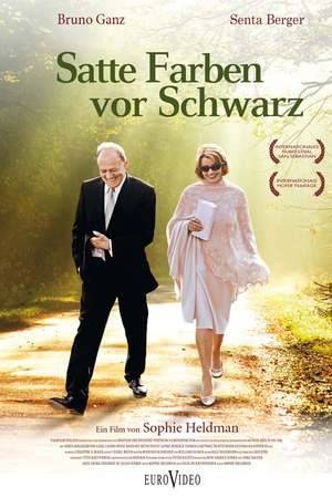 Poster: Satte Farben vor Schwarz