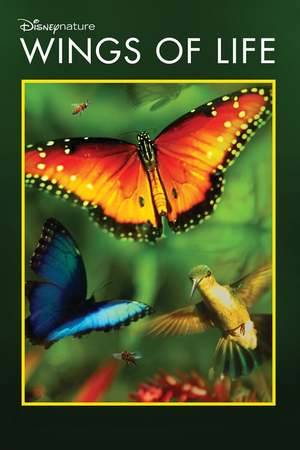 Poster: Blüten - Boten des Lebens