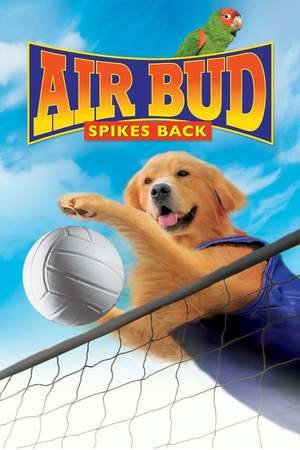 Poster: Air Bud 5 - Vier Pfoten schlagen auf